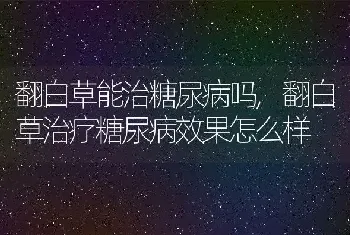 翻白草能治糖尿病吗