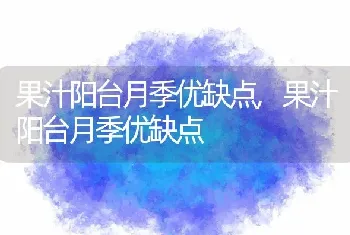 果汁阳台月季优缺点