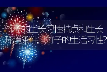 竹子的生活习性