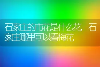 山栗子什么时候成熟