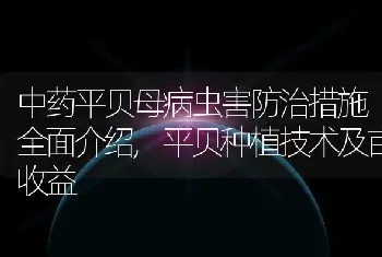 中药平贝母病虫害防治措施全面介绍