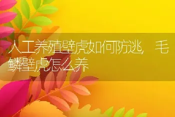 人工养殖壁虎如何防逃