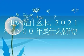 2021往前500年是什么朝代