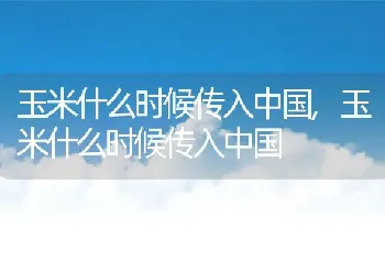 玉米什么时候传入中国