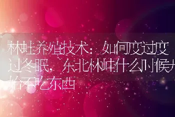 林蛙养殖技术:如何度过度过冬眠