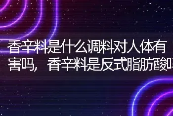 香辛料是什么调料对人体有害吗