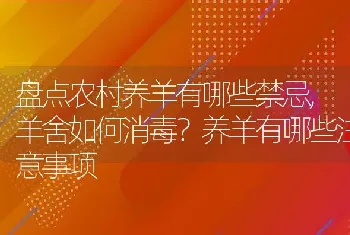 羊舍如何消毒养羊有哪些注意事项