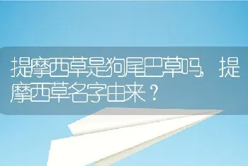 提摩西草名字由来