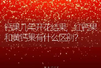 红钙果和黄钙果有什么区别