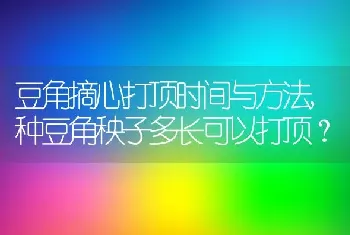 种豆角秧子多长可以打顶