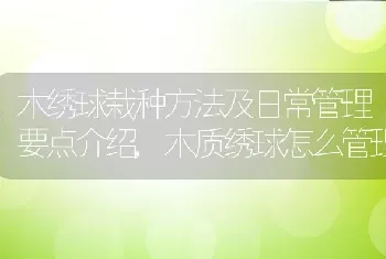 木绣球栽种方法及日常管理要点介绍