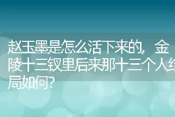 金陵十三钗里后来那十三个人结局如何