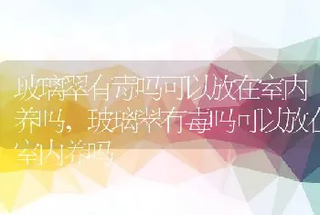 玻璃翠有毒吗可以放在室内养吗