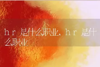 hr是什么职业