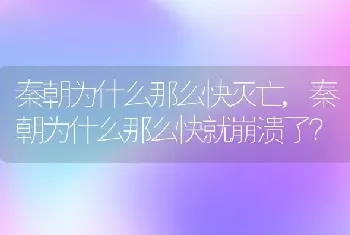 秦朝为什么那么快就崩溃了