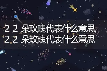 22朵玫瑰代表什么意思