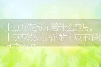 土豆开花预示着什么意思