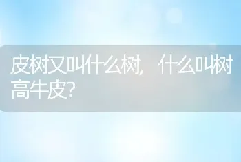 什么叫树高牛皮