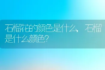 石榴是什么颜色