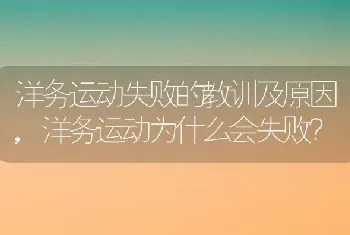 洋务运动为什么会失败