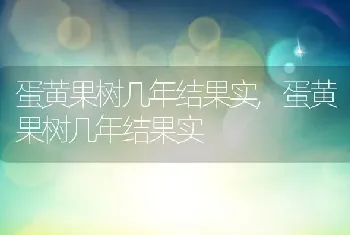 蛋黄果树几年结果实