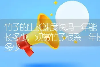 竹子的生长速度快吗一年能长多少