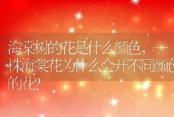 一株海棠花为什么会开不同颜色的花