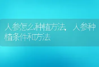 人参怎么种植方法