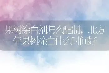 理性的人有什么特点