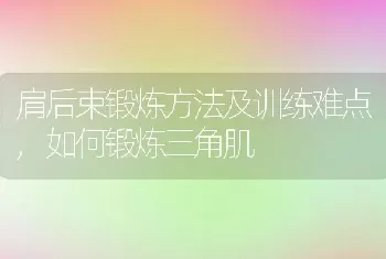 肩后束锻炼方法及训练难点