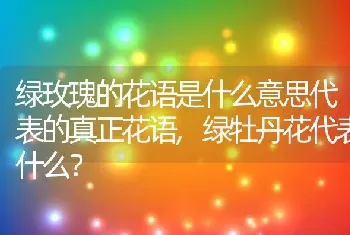 绿牡丹花代表什么