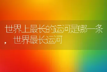 世界上最长的运河是哪一条