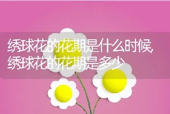 绣球花的花期是什么时候