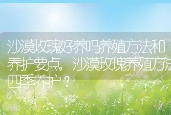 沙漠玫瑰养殖方法四季养护