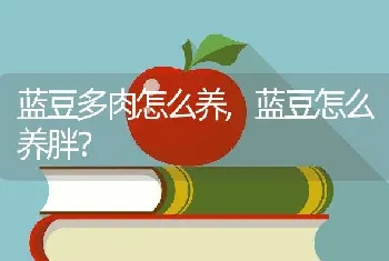 蓝豆怎么养胖