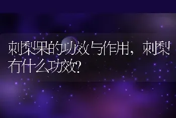 刺梨有什么功效