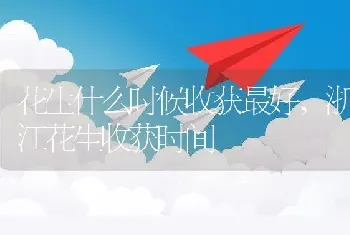 花生什么时候收获最好