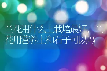 防治根结线虫的最好办法是什么