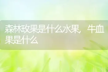 荼蘼花花语是什么