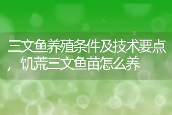 三文鱼养殖条件及技术要点