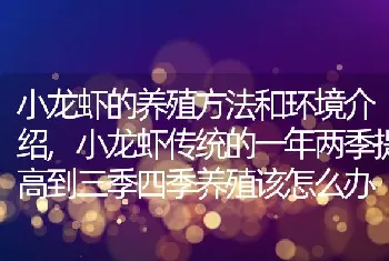 小龙虾的养殖方法和环境介绍