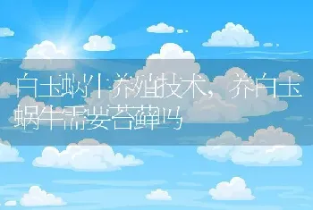 白玉蜗牛养殖技术