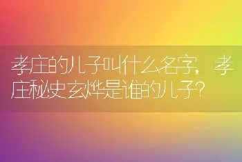 孝庄秘史玄烨是谁的儿子