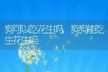 狗可以吃花生吗