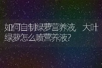 曼陀罗华的养殖方法