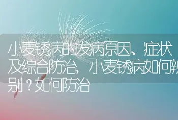 小麦锈病如何辨别如何防治