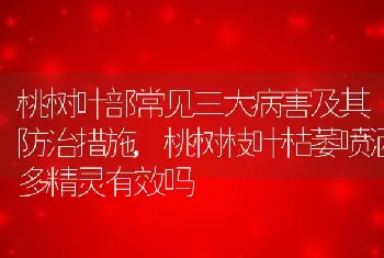 桃树叶部常见三大病害及其防治措施