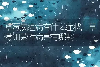 草莓炭疽病有什么症状