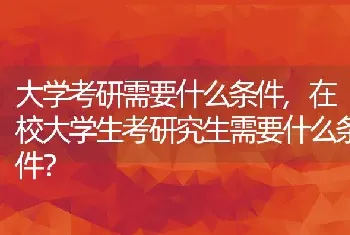 在校大学生考研究生需要什么条件