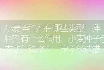 小麦种子包衣如何选择一定不能选错了